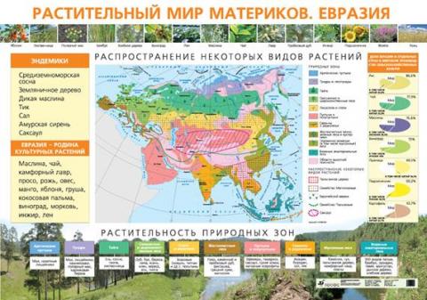 Растительный мир евразии картинки